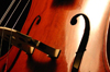 Alton Youth Symphony Orchestra Receives Target Grant