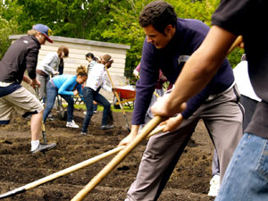 Youth at Work 2009