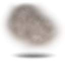 nfg.png